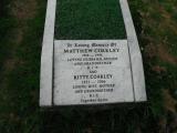 image of grave number 263984
